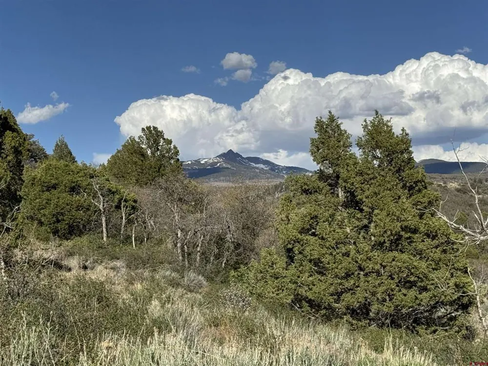 4625 Road 31 Lot 20 Dolores, CO 81323