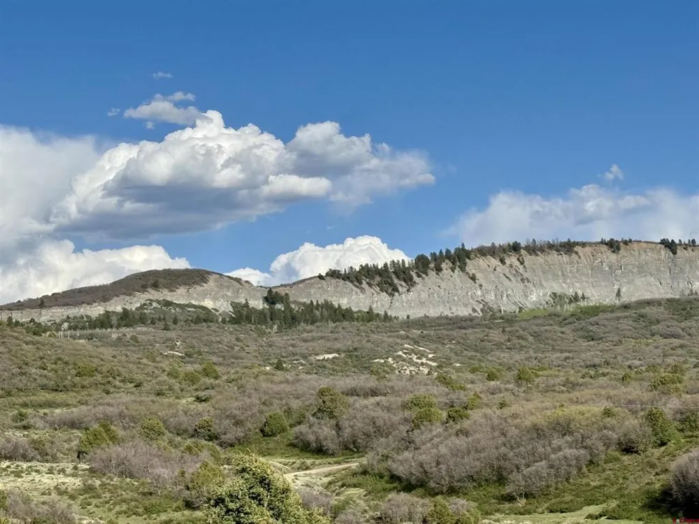 4625 Road 31 Lot 20 Dolores, CO 81323