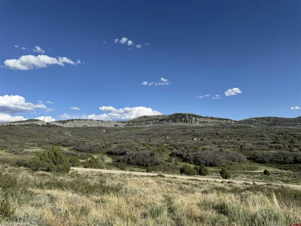 4625 Road 31 Lot 20 Dolores, CO 81323
