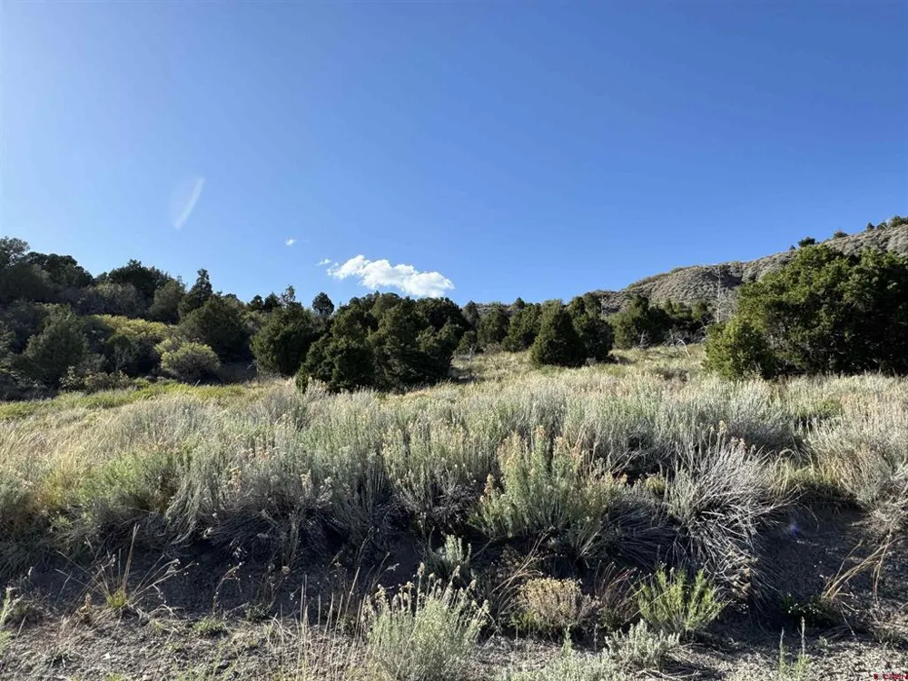 4625 Road 31 Lot 20 Dolores, CO 81323