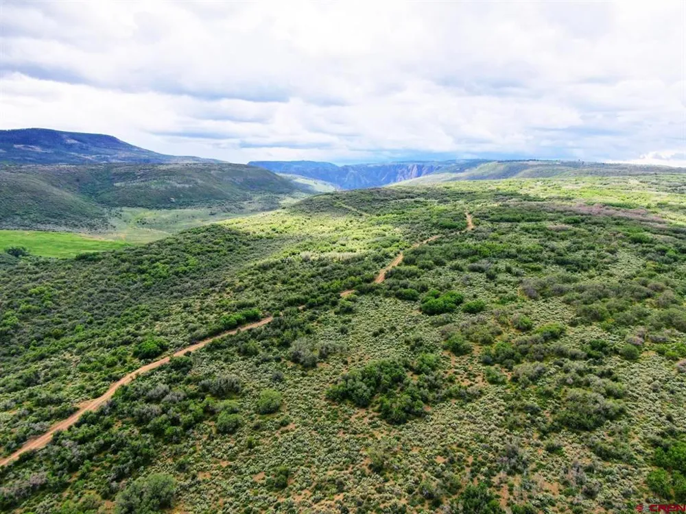 Highway 92 Crawford, CO 81415