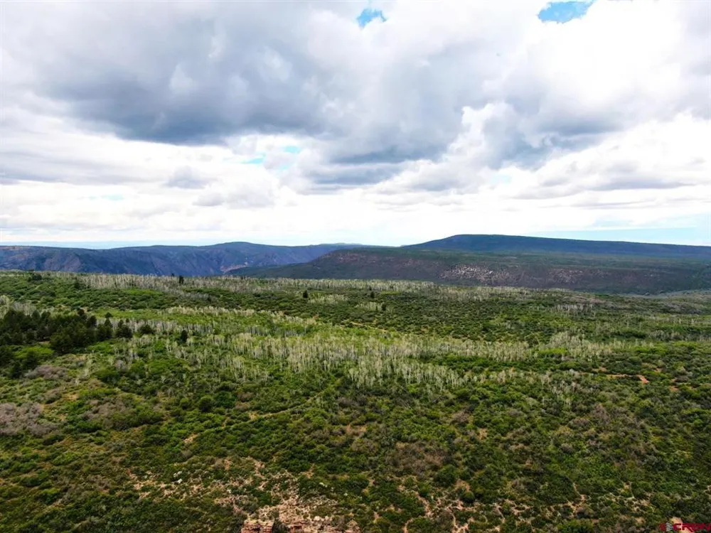 Highway 92 Crawford, CO 81415