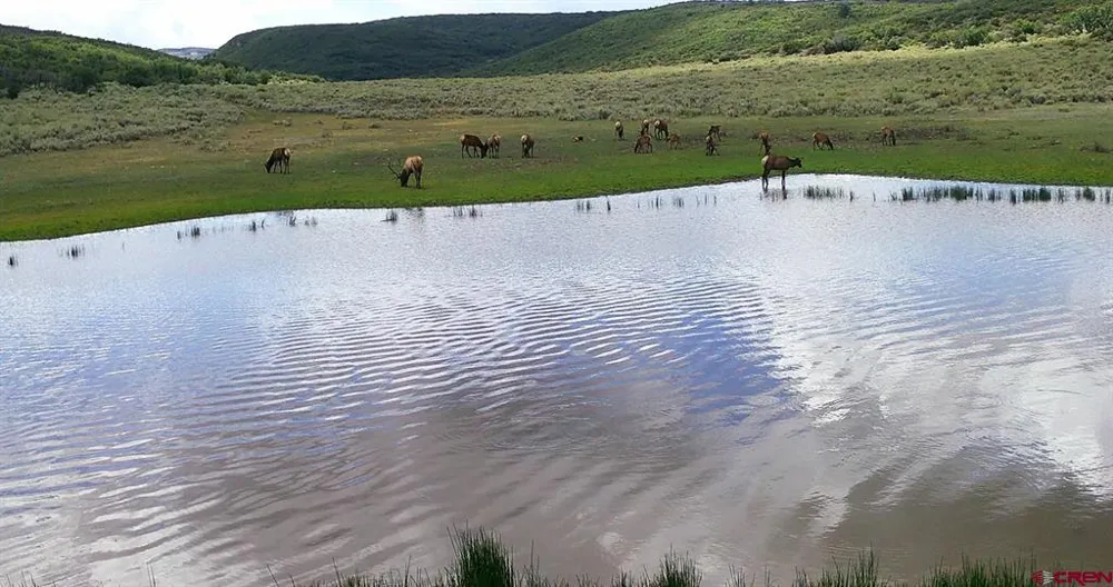 Highway 92 Crawford, CO 81415