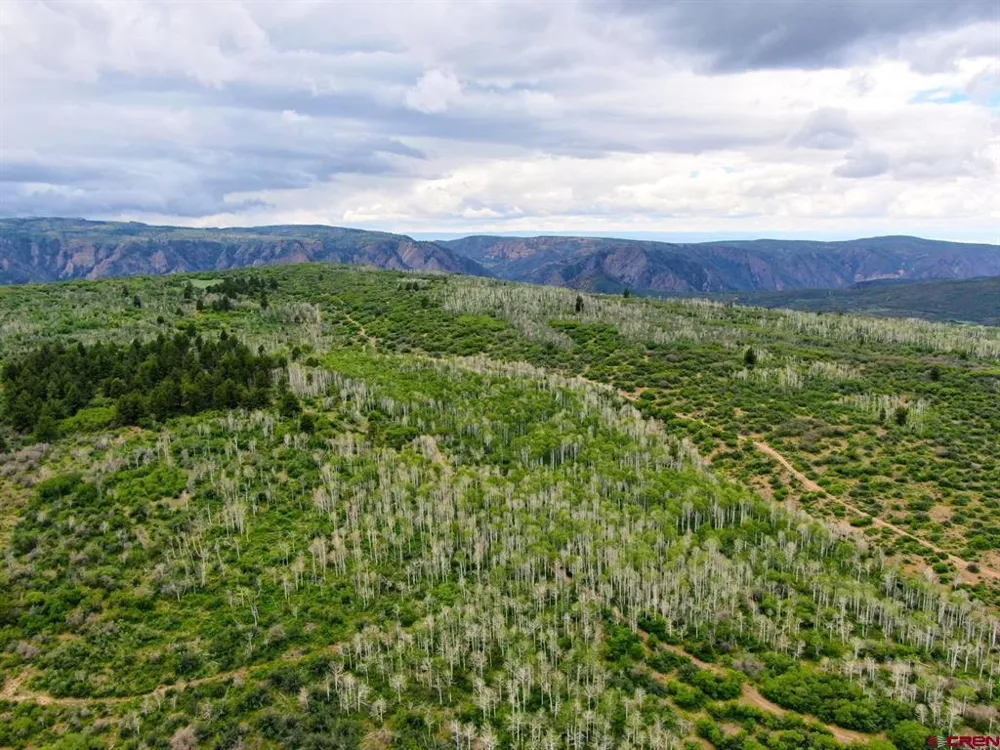 Highway 92 Crawford, CO 81415