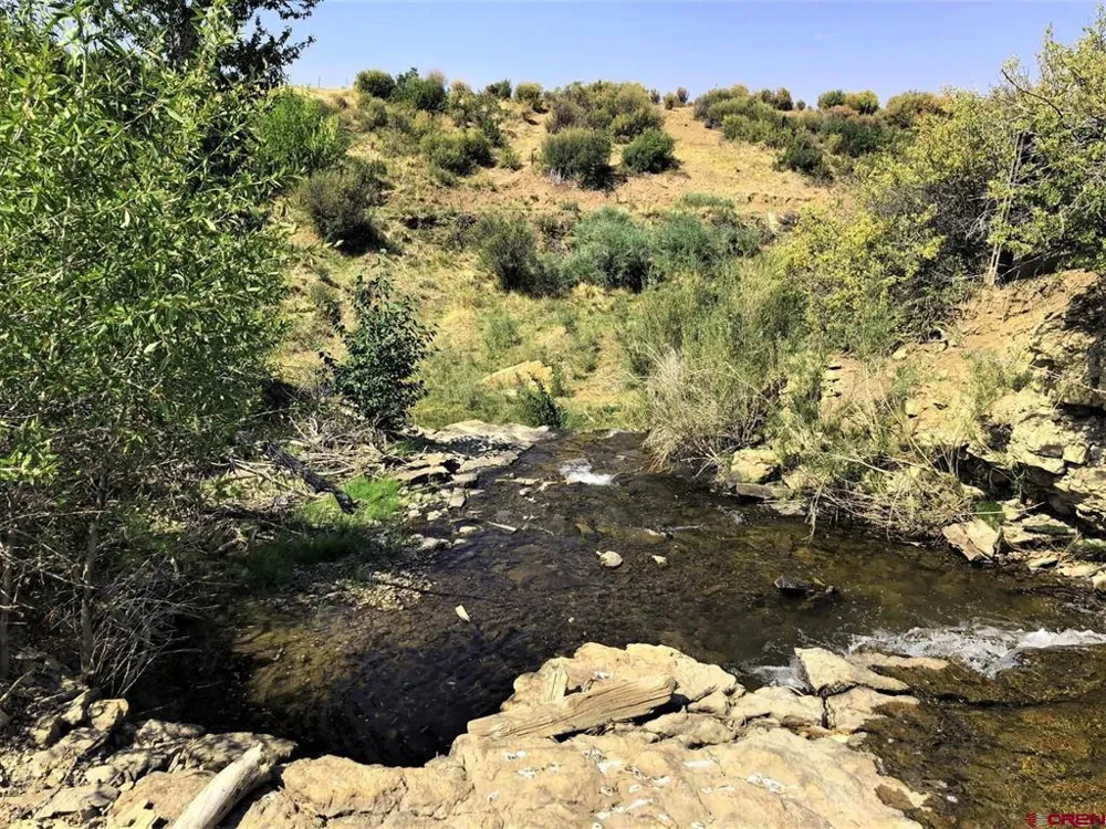 Highway 92 Crawford, CO 81415