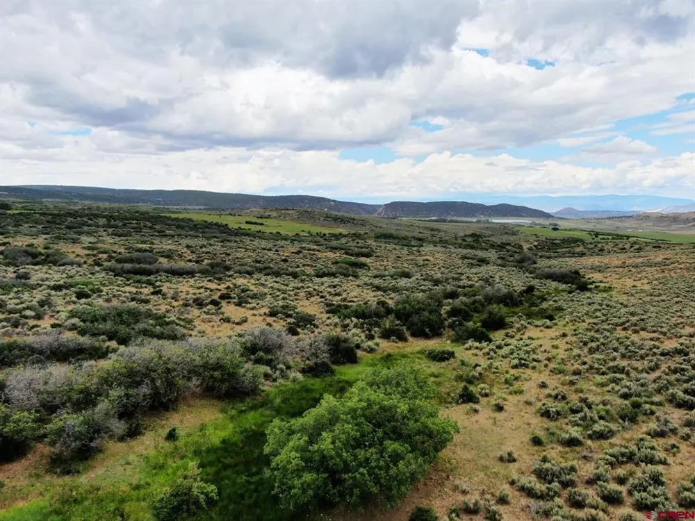 Highway 92 Crawford, CO 81415