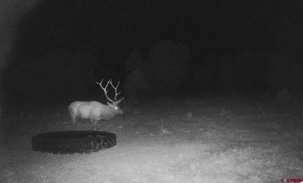 Highway 92 Crawford, CO 81415