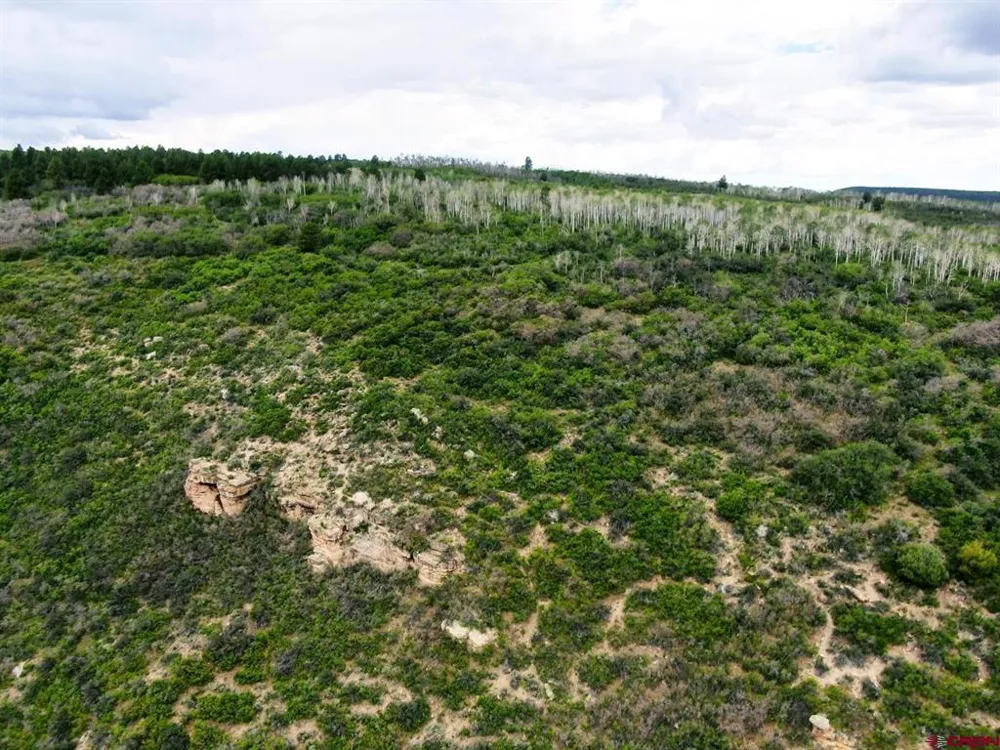 Highway 92 Crawford, CO 81415