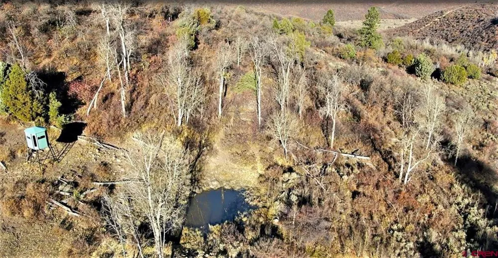 Highway 92 Crawford, CO 81415