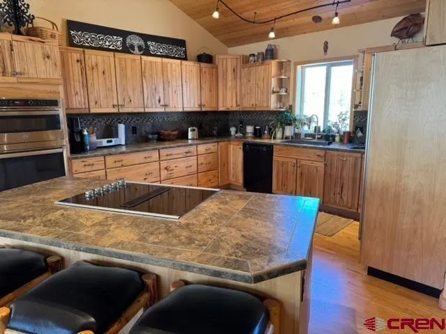 1831 Willow Park Drive South Fork, CO 81154