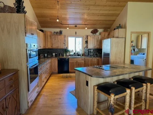 1831 Willow Park Drive South Fork, CO 81154