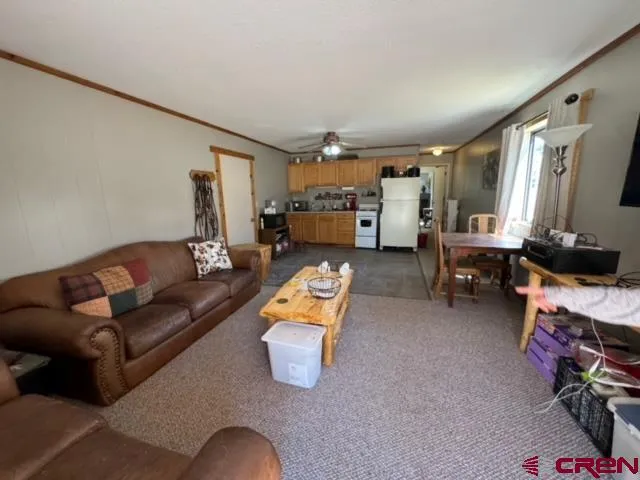 1831 Willow Park Drive South Fork, CO 81154