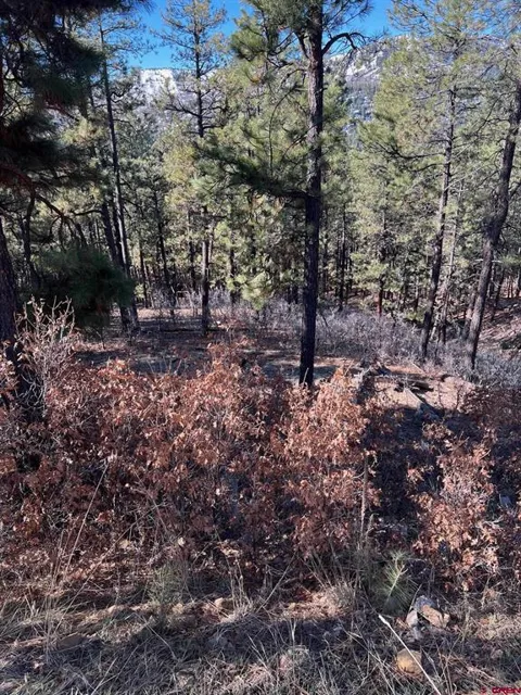 238 Deer Ridge Drive