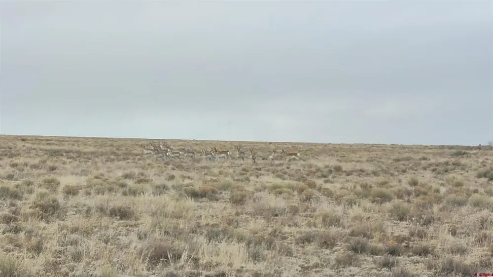Co Rd AA Road La Jara, CO 81124
