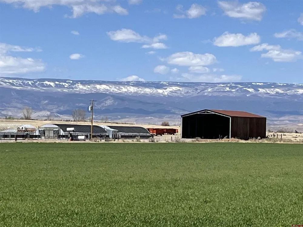23223 D50 ROAD Delta, CO 81416