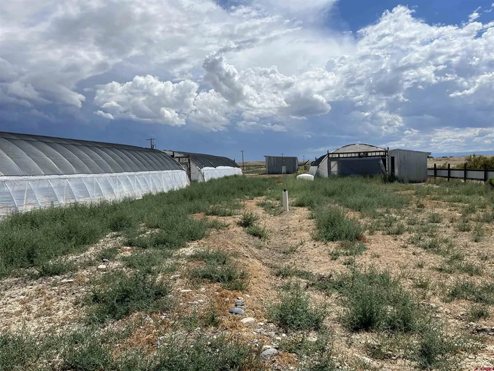 23223 D50 ROAD Delta, CO 81416