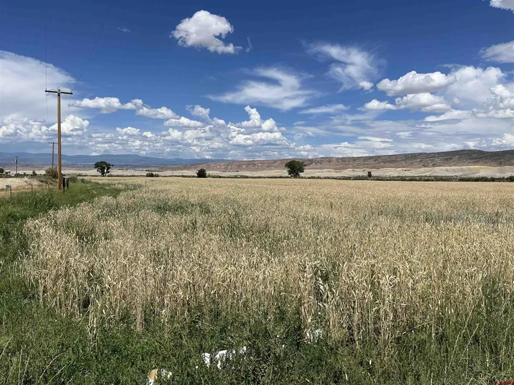 23223 D50 ROAD Delta, CO 81416