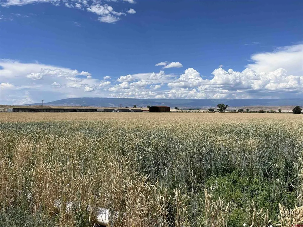 23223 D50 ROAD Delta, CO 81416