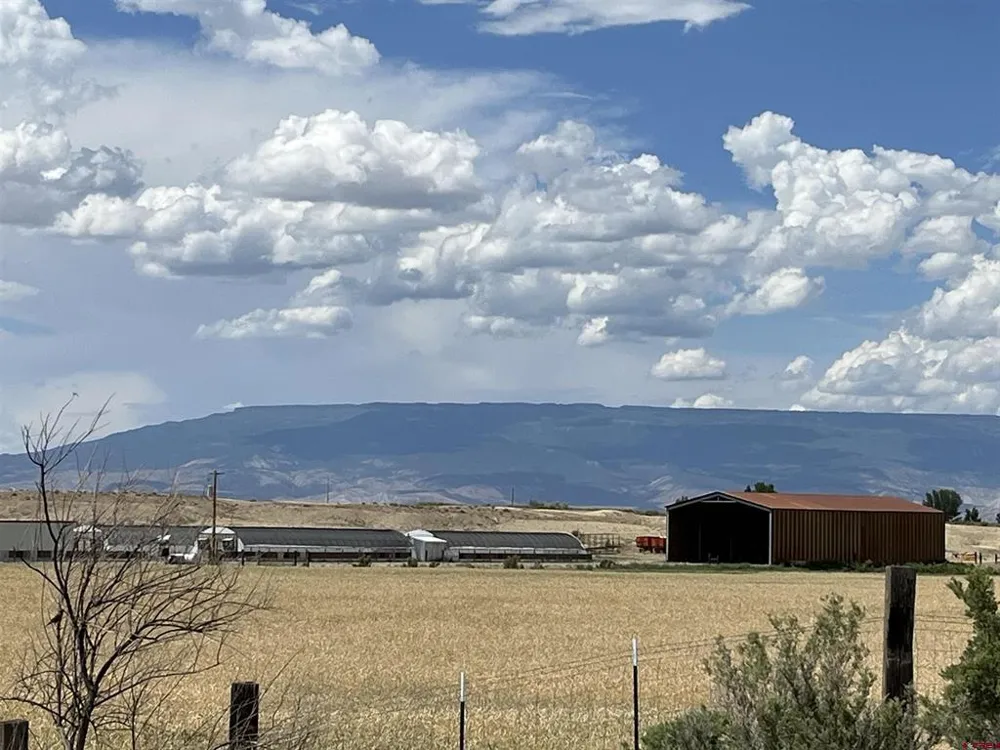 23223 D50 ROAD Delta, CO 81416