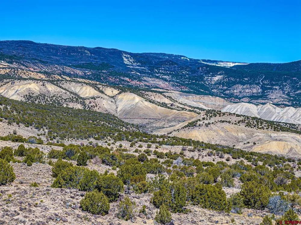 16930 Oak Creek Road Eckert, CO 81418