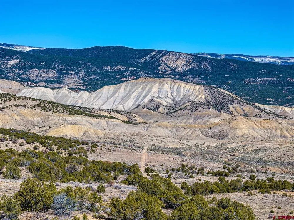 16930 Oak Creek Road Eckert, CO 81418