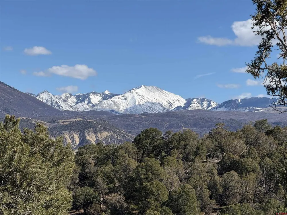 38 Black Bear Trail Crawford, CO 81415