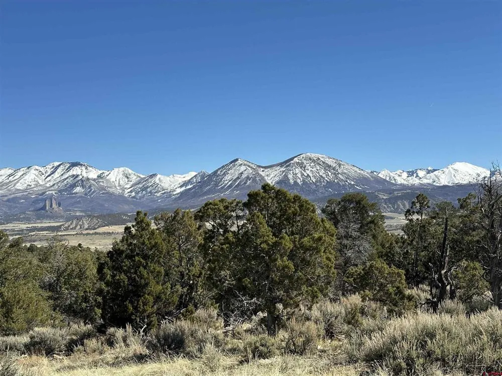 38 Black Bear Trail Crawford, CO 81415