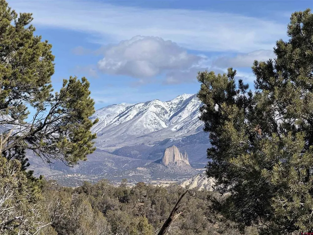 38 Black Bear Trail Crawford, CO 81415