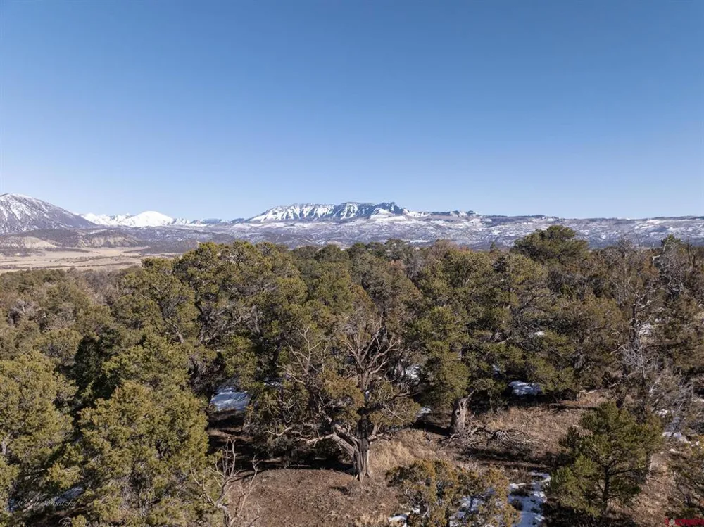 38 Black Bear Trail Crawford, CO 81415