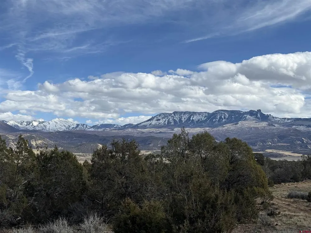 38 Black Bear Trail Crawford, CO 81415