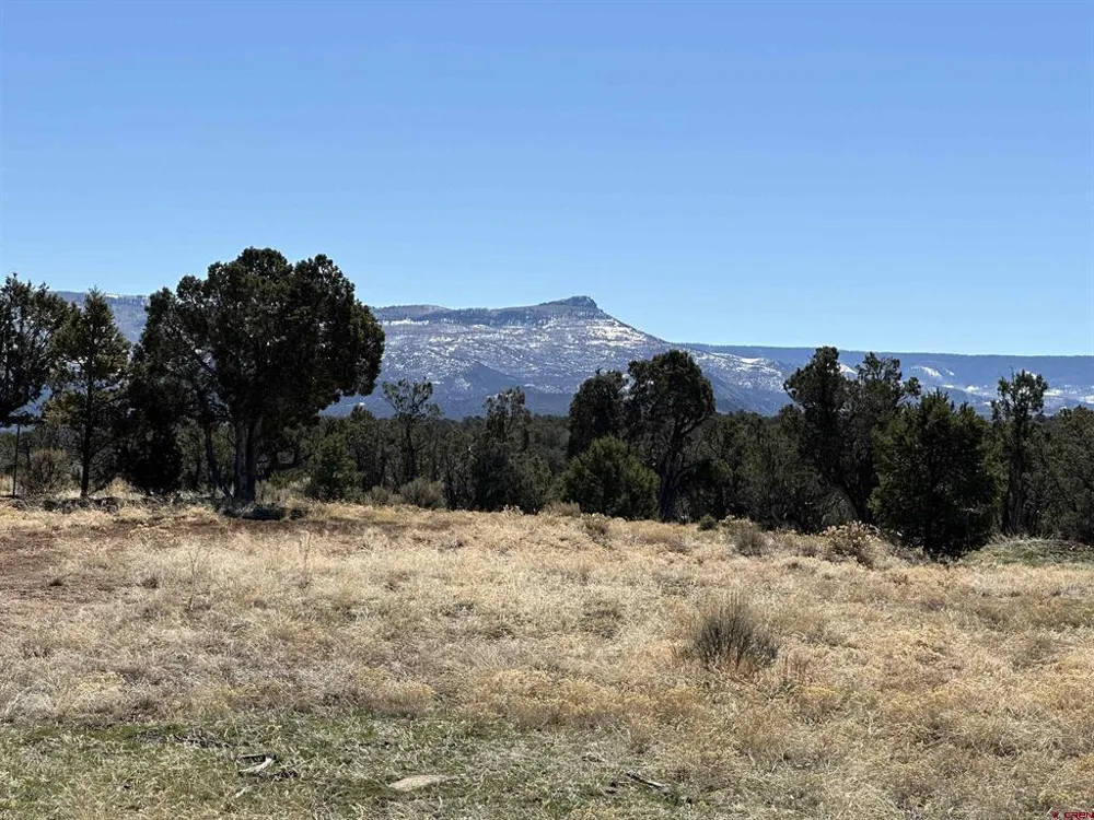 38 Black Bear Trail Crawford, CO 81415