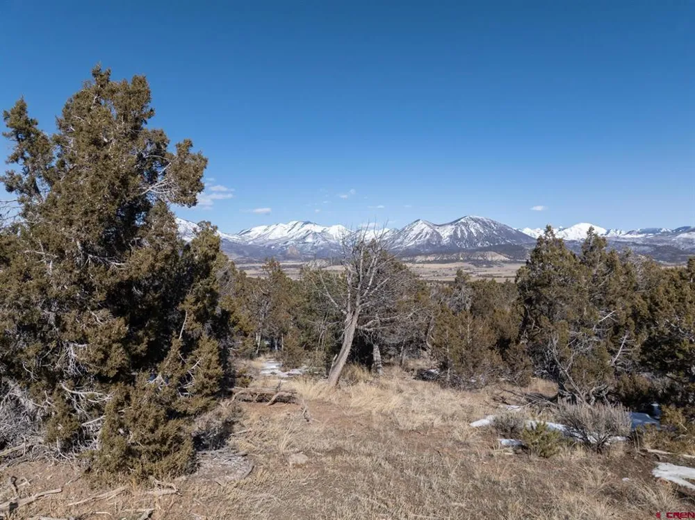 38 Black Bear Trail Crawford, CO 81415