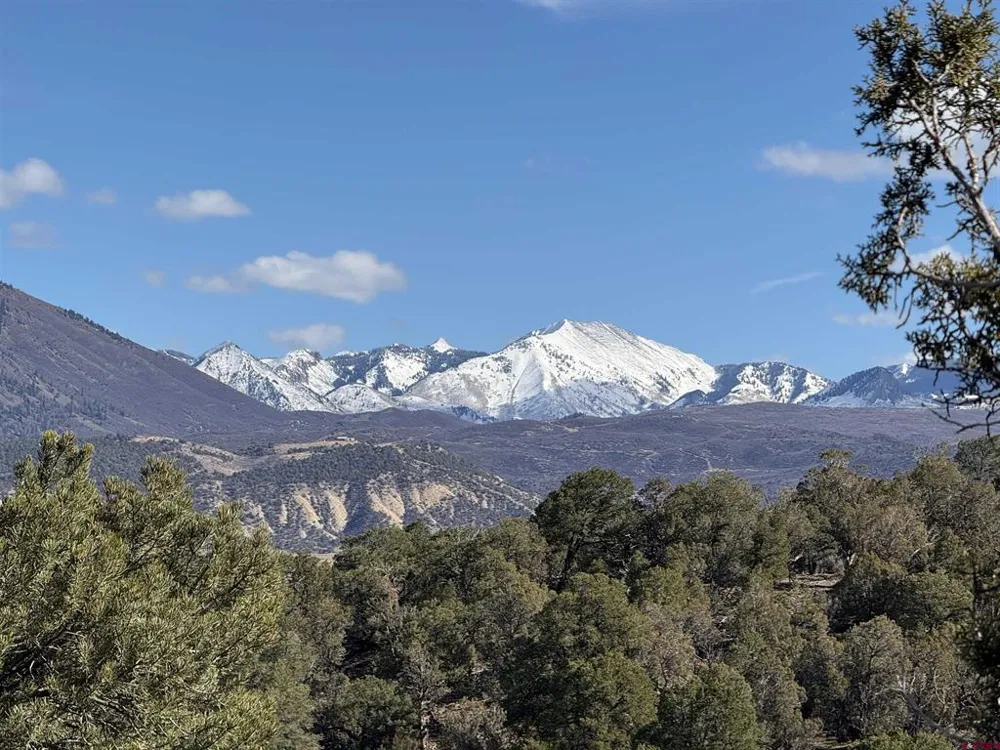 38 Black Bear Trail Crawford, CO 81415
