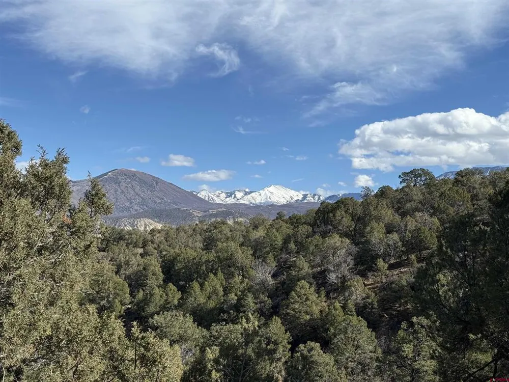38 Black Bear Trail Crawford, CO 81415