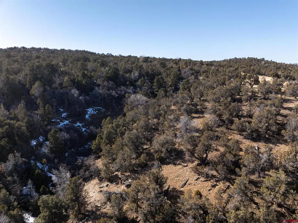 38 Black Bear Trail Crawford, CO 81415
