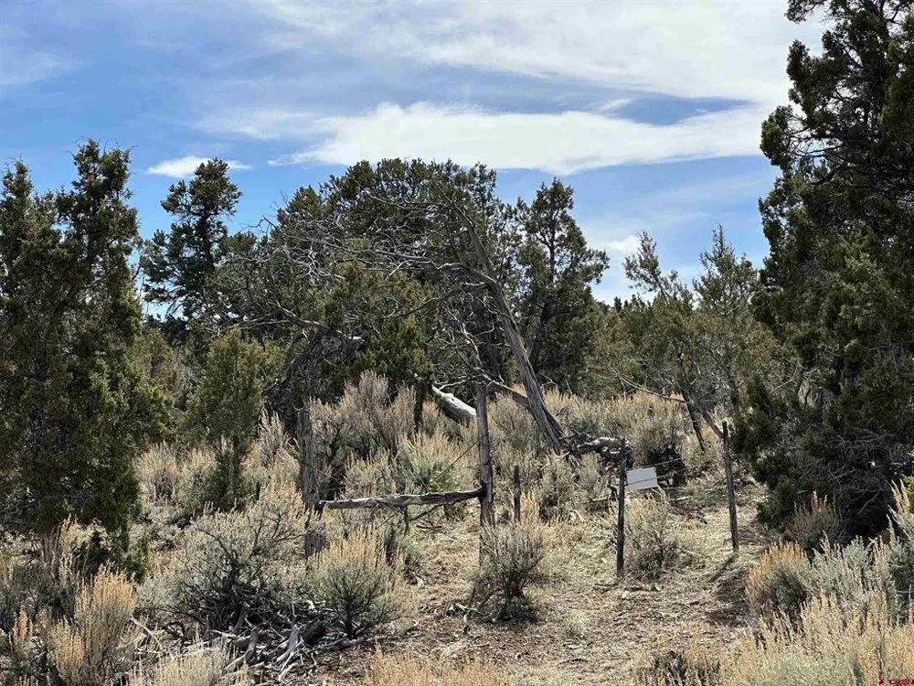 38 Black Bear Trail Crawford, CO 81415
