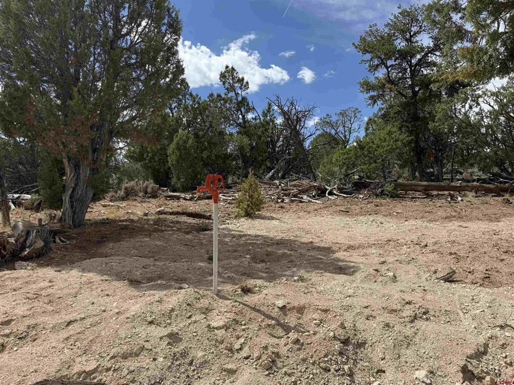 38 Black Bear Trail Crawford, CO 81415