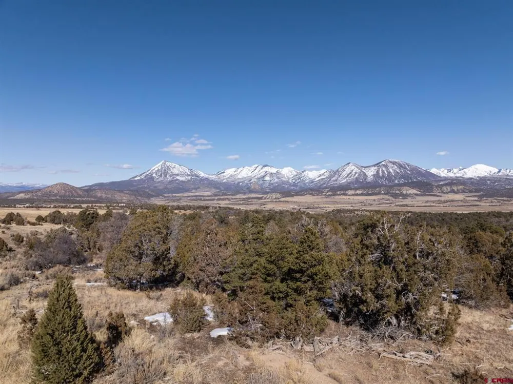 38 Black Bear Trail Crawford, CO 81415