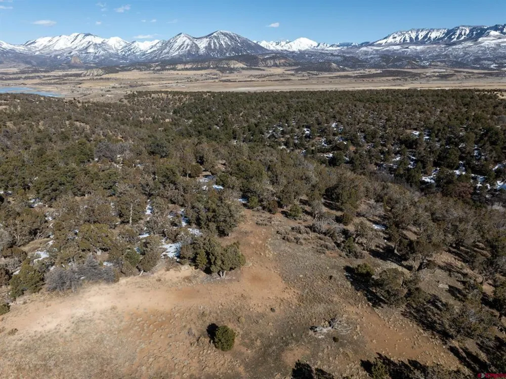 38 Black Bear Trail Crawford, CO 81415