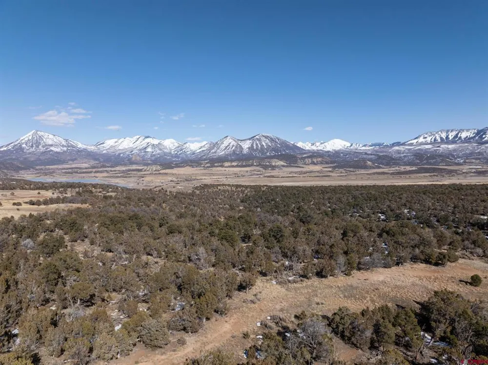 38 Black Bear Trail Crawford, CO 81415