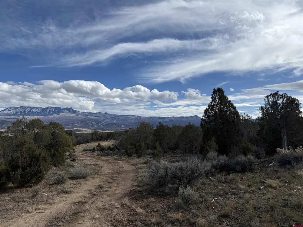 38 Black Bear Trail Crawford, CO 81415