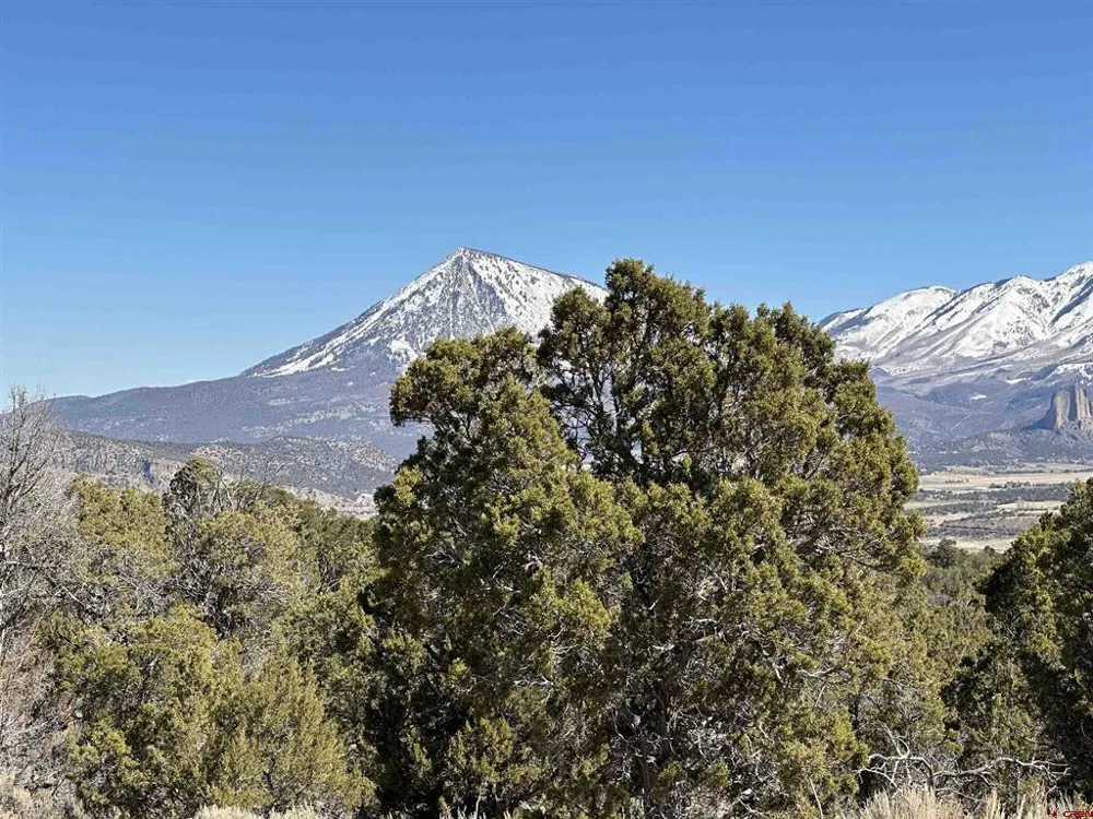 38 Black Bear Trail Crawford, CO 81415