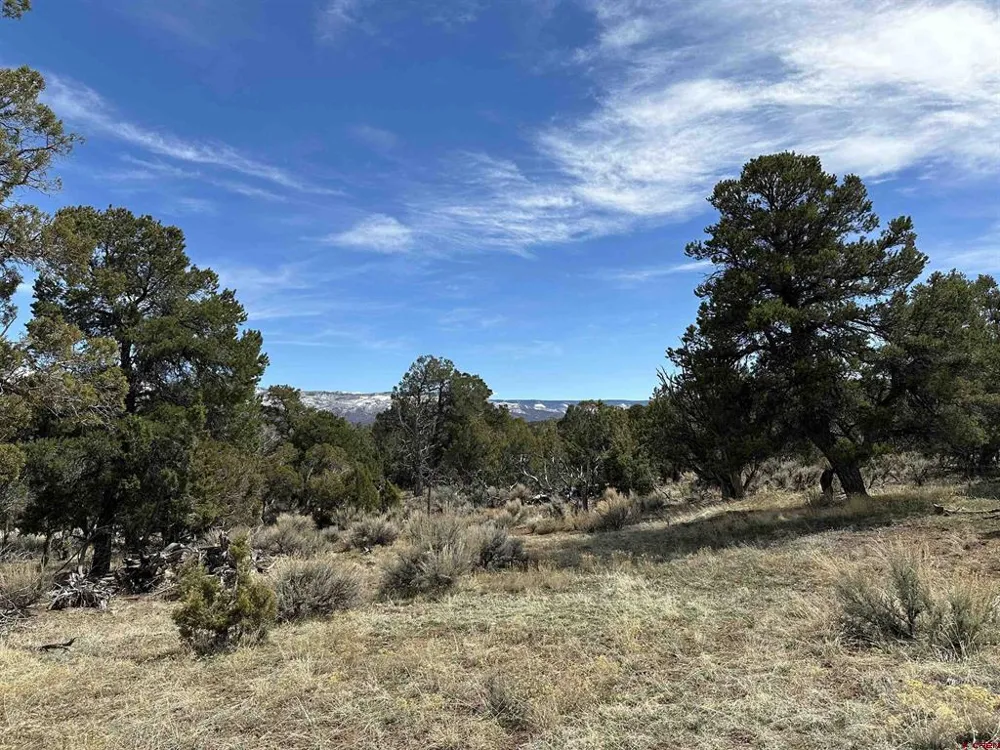 38 Black Bear Trail Crawford, CO 81415