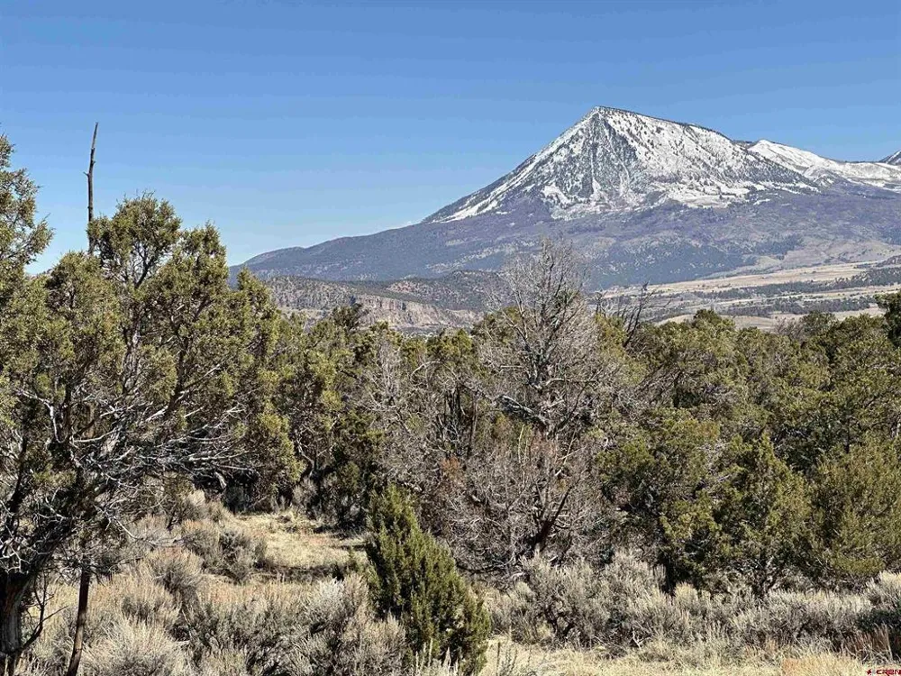 38 Black Bear Trail Crawford, CO 81415