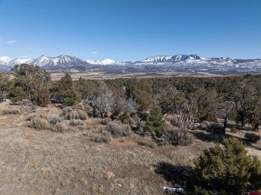 38 Black Bear Trail Crawford, CO 81415