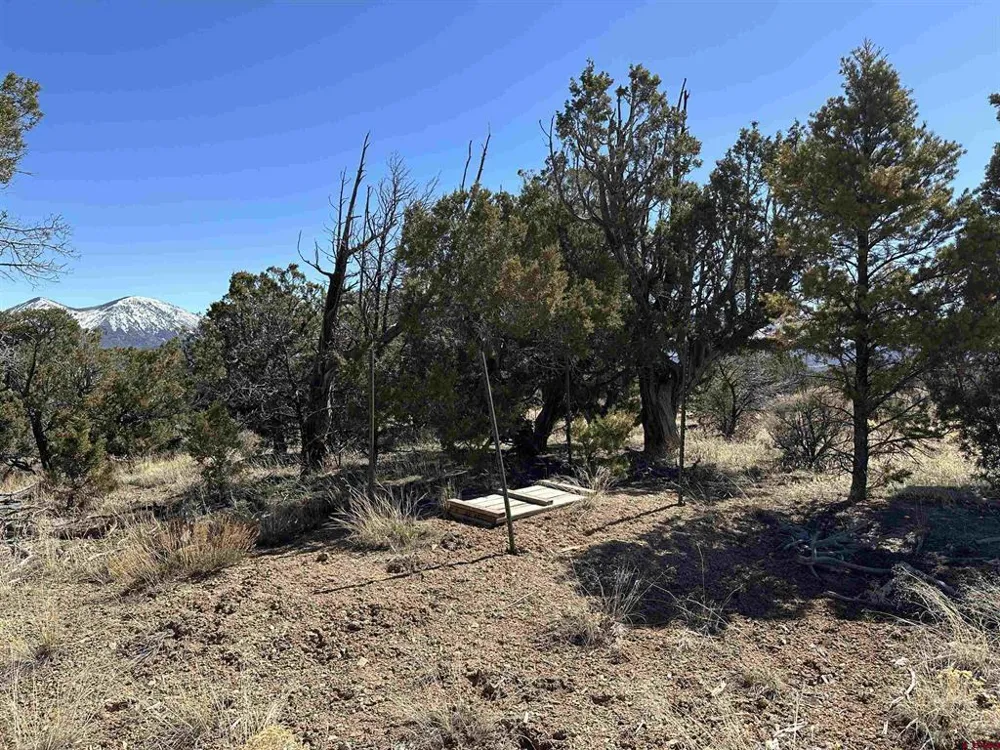 38 Black Bear Trail Crawford, CO 81415