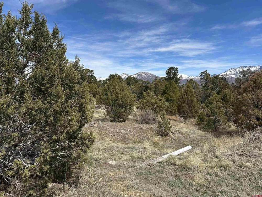 38 Black Bear Trail Crawford, CO 81415