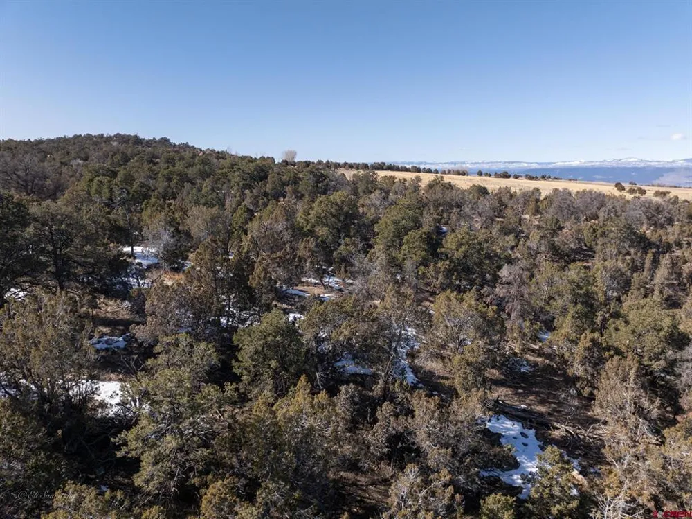 38 Black Bear Trail Crawford, CO 81415
