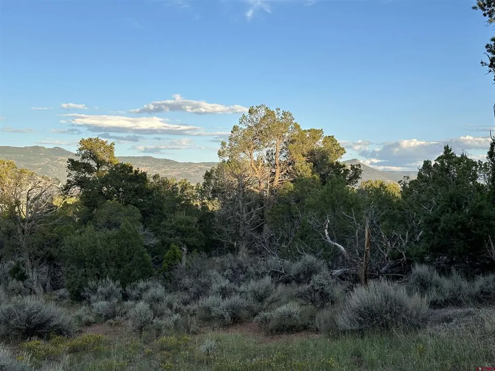 38 Black Bear Trail Crawford, CO 81415
