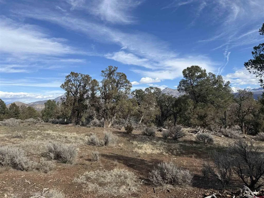 38 Black Bear Trail Crawford, CO 81415